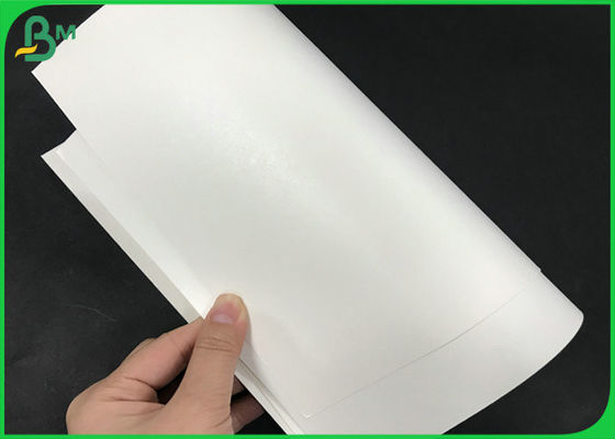 Forte 245gsm impermeabile carta patinata bianca del film del PE 15g + di Kraft per la tazza di carta del caffè